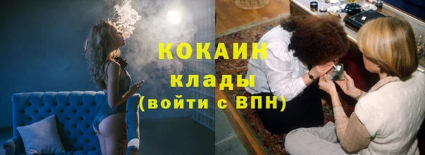 стаф Вязники