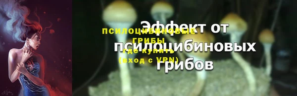 стаф Вязники