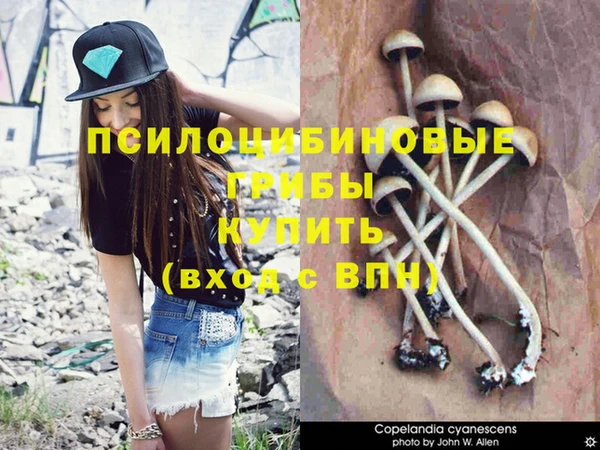 прущий лед Куйбышев