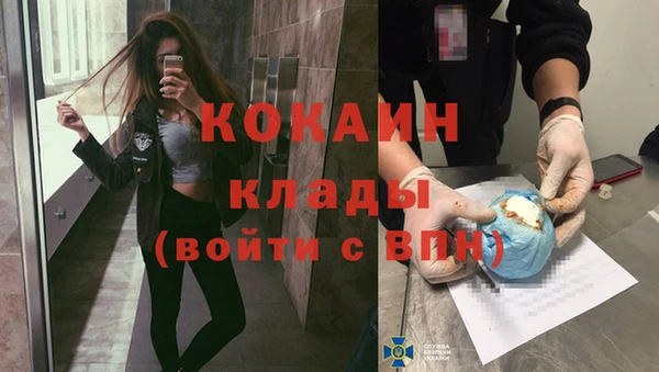 тгк Вяземский