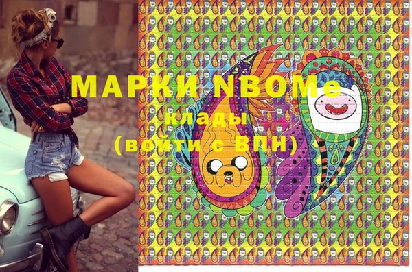 стаф Вязники