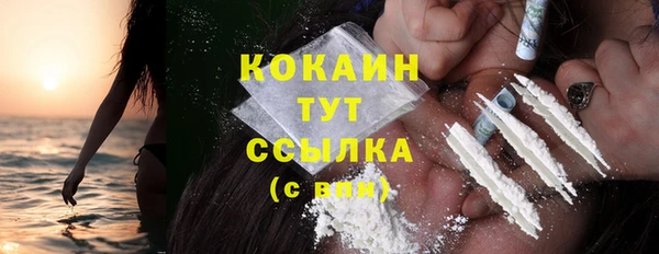 тгк Вяземский