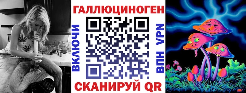 Галлюциногенные грибы Psilocybine cubensis  Георгиевск 