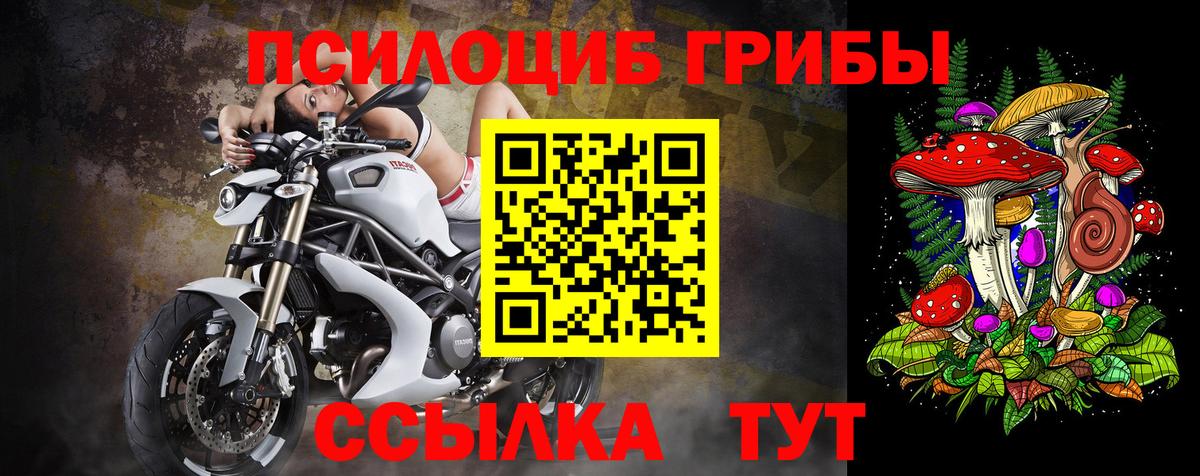 Галлюциногенные грибы ЛСД Георгиевск