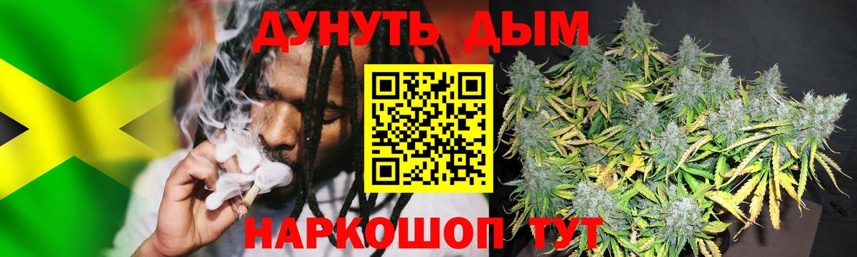 Шишки марихуана планчик Георгиевск